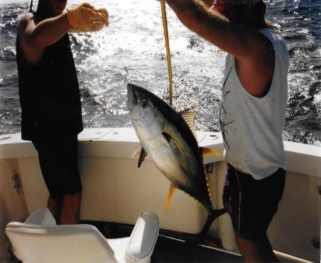 Wahoo Fishing